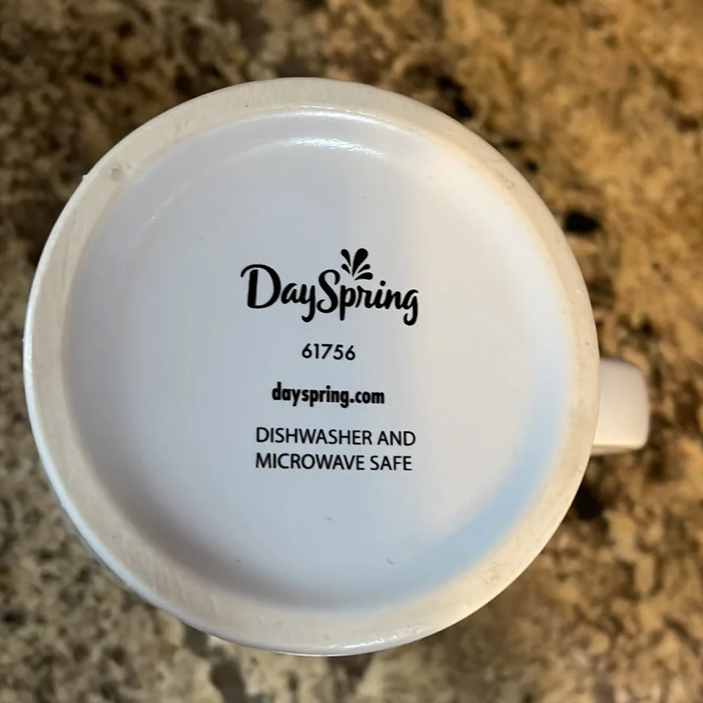 NWOT DaySpring Large 16 oz coffee / beverage Mug Proverb 31:30 inside beauty